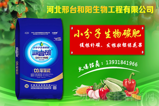 ����(ji��)ǰС���r(ji��)���(hu��)����(hu��)�q������С���r(ji��)��������