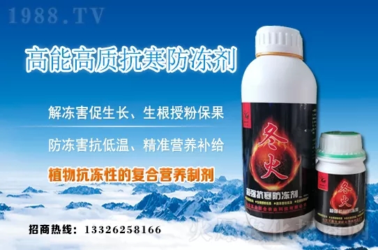 �紺�²����ʩ�����²�ʩ�ʷ�����ע����헣�