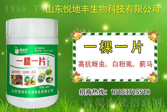 �߿����x(ch��ng)���׷�ʭ���E�R��ʲô����һ�x(ch��ng)������