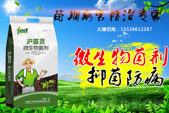 �������ڲ����������������������A(y��)����������(hu��)�ˆ᣿