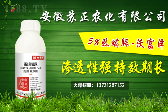 ʭ���嚢�xЧ��������ʭ��������ú͏���ʹ�÷�����