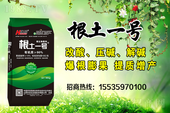     ΢��������е�΢������ʲô������΢�����������θ��������ģ�