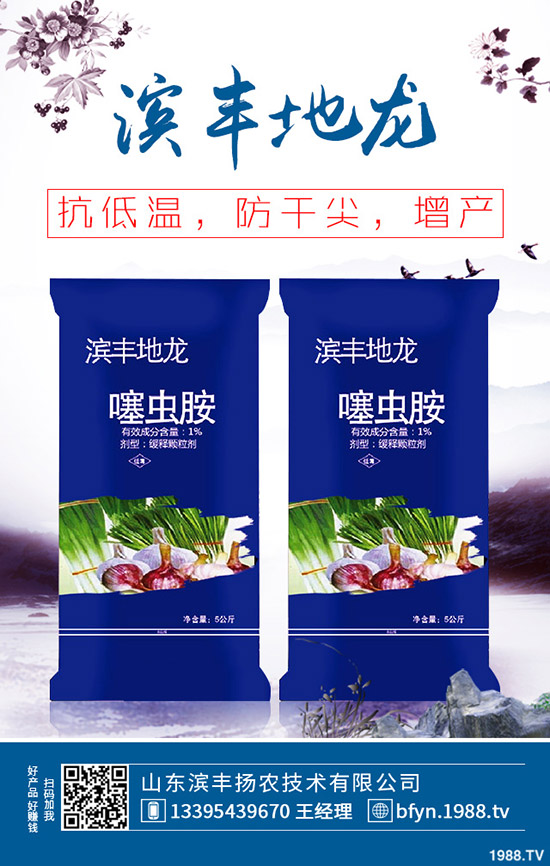 今日最新國內(nèi)復(fù)合肥價格走勢及交易日評: