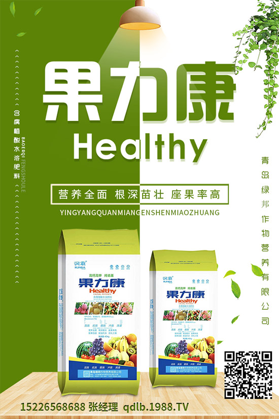 �����ĸ������g�Y���������ĸ����İl(f��)��Ҏ(gu��)�ɼ�������