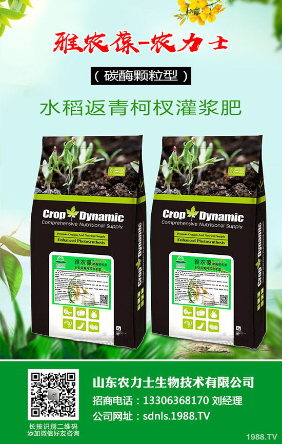     ԭ�Ϻͳɱ����m(x��)�ϝq����(f��)�Ϸ�؛�o�r(ji��)�P(y��ng)�����������߄�(sh��)����2020-3-17��