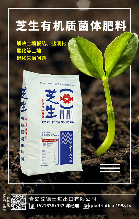 ��������ô��Ч�������������ص�ʹ�÷�����