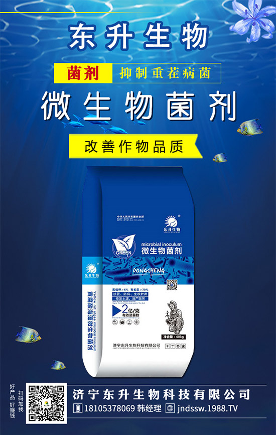 �²�Ʒ�N����Щ���²˵��B(y��ng)ֳע�����(xi��ng)��