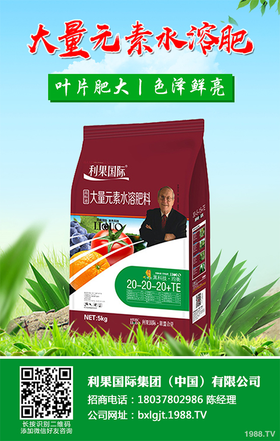 ���y���Nֲǰ�������2020���y���ķNֲǰ����Ч�����