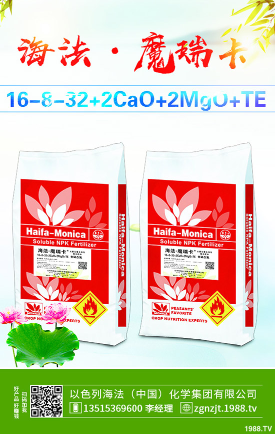     ���أ��r(ji��)��ֹ?ji��)q�������Ј�(ch��ng)С����ʎ��2020-3-21�������س��S��(b��o)�r(ji��)��