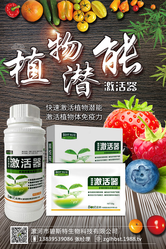 ������ô�N�ɻ��ʸ�������ʲô�r��Nֲ������