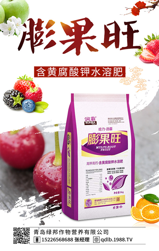 ����������Щ���湦Ч���R���ӵĹ�Ч���ü�ʳ�ý���