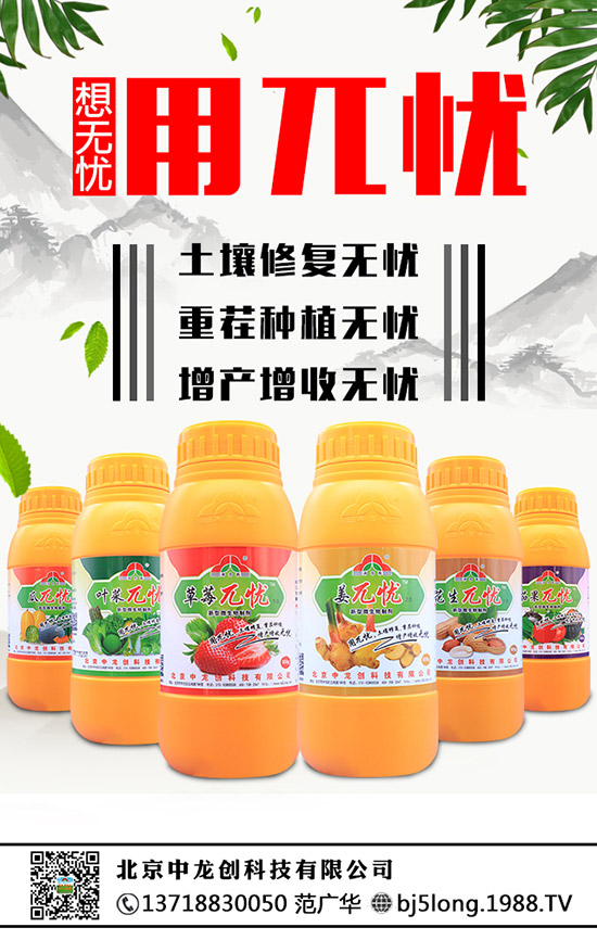 草莓為什么會(huì)發(fā)生肥害,草莓肥害要怎么補(bǔ)救?