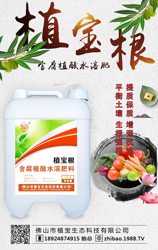 �紺���������Jʲô�r(sh��)�g�N�������J��ֲ�����Ҫ�c(di��n)��