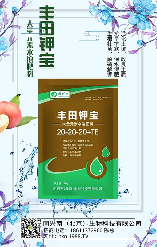 �㶹ʲô�r��N���㶹�Nֲ�r�g���NֲҪ�c��