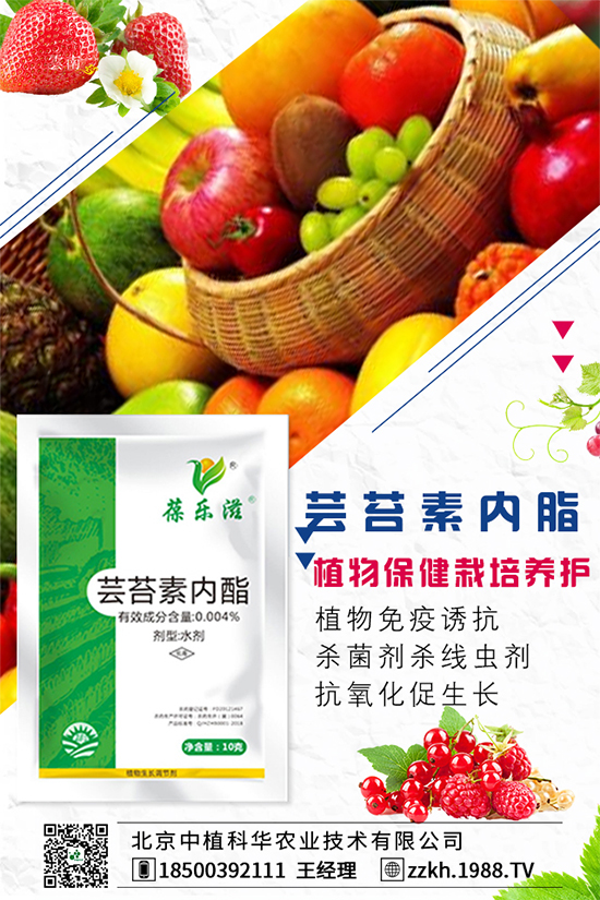 ���Ҫ��ô�Nֲ�����ˮ�ʹ���Ҫ�c��