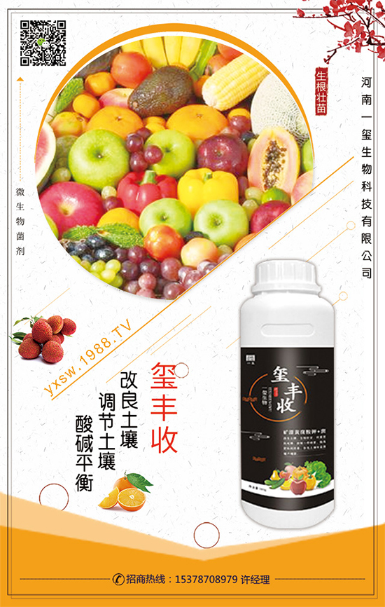 ��������ô�Nֲ��������Nֲ���g(sh��)��