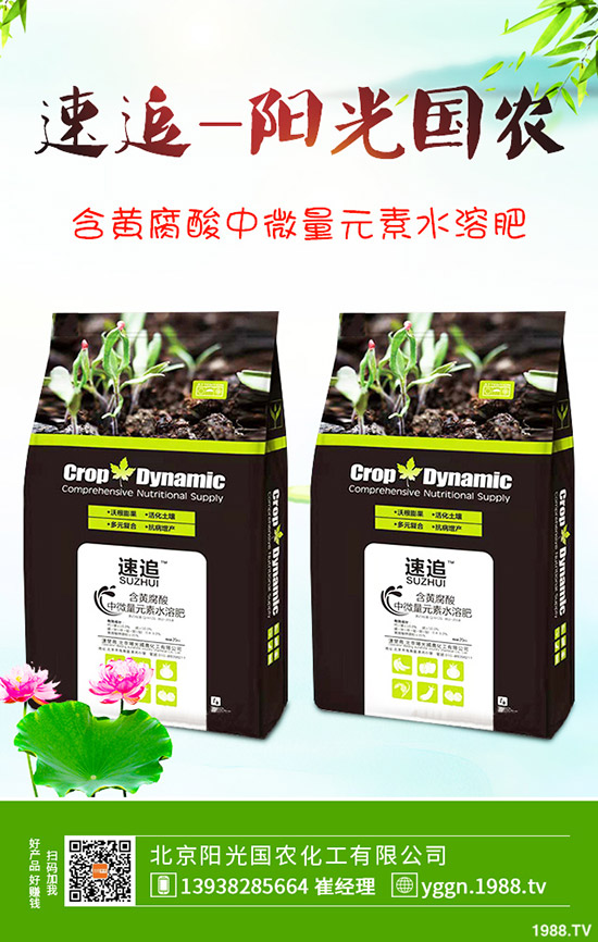     2020-4-10�׷ʴ����Ј���β�A�������@�r�����{(di��o)���������������߄ݷ�����