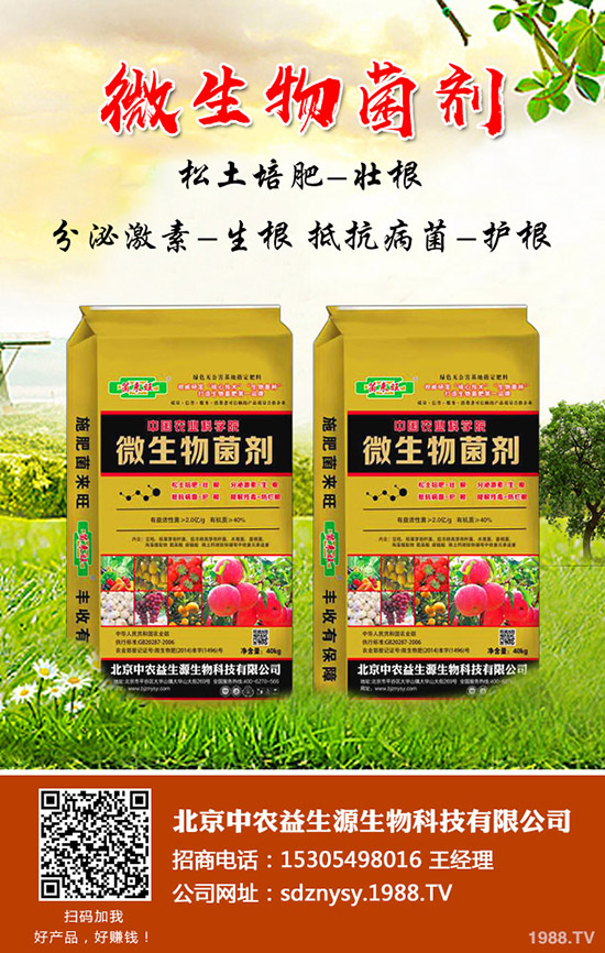     ����(n��i)⛷ʃr����m(x��)С���ߵ���2020-4-11������������A(y��)�y��