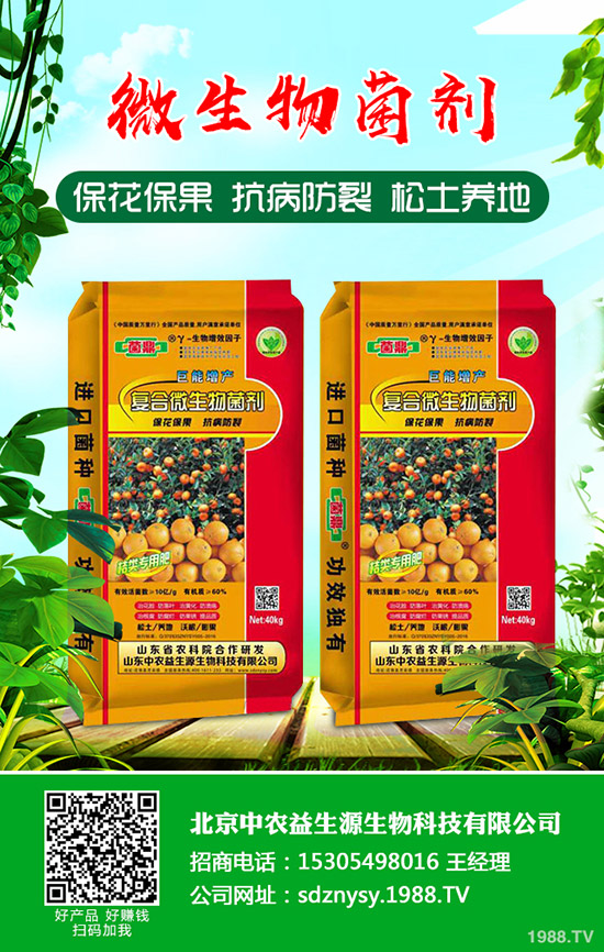     С���к�����Ҫ��������Щ����η��������μ��g(sh��)ָ��(d��o)��Ҋ����Щ��