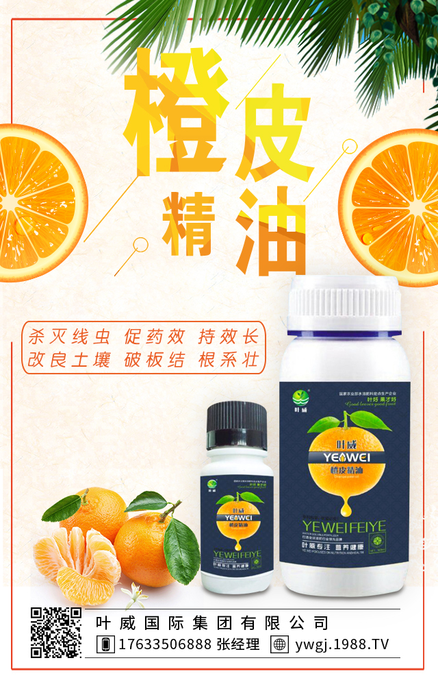 �~�����H���F���޹�˾