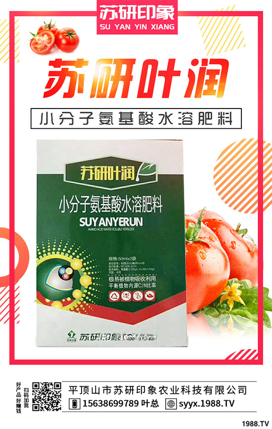 馬鈴薯該如何覆膜種植?馬鈴薯覆膜種植技術(shù)要點(diǎn)及存在的問題