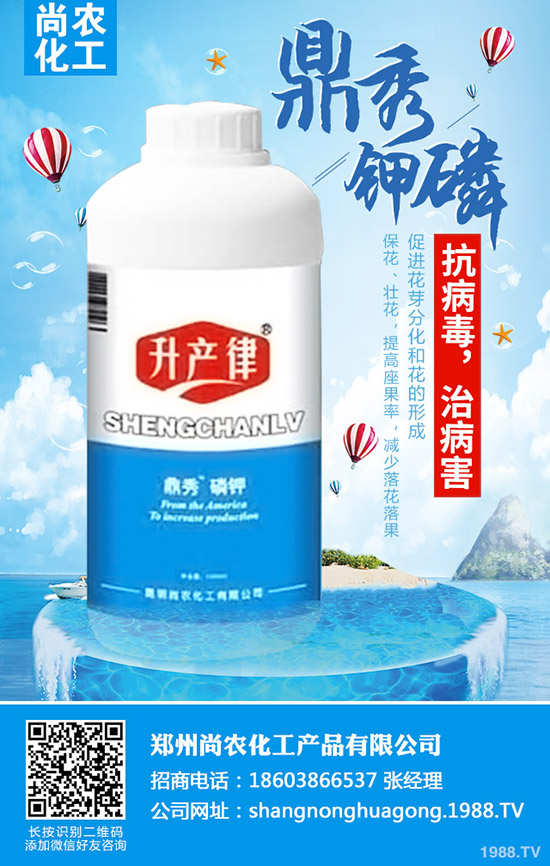     ���{���Y(ji��)����ô�k�����{���Y(ji��)��ԭ�򼰷��δ�ʩ��