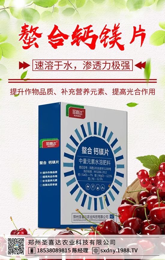 ������ԓ��������������˵ĸ߮a(ch��n)����������g