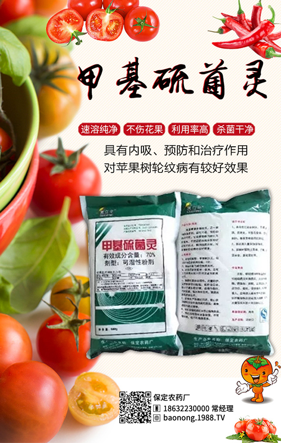 �������t�����༼�g(sh��)���������t�����x��������