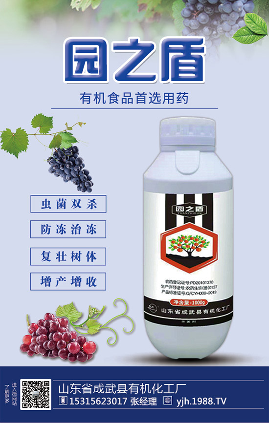 �����������������ʩ�ʼ��g(sh��)��Ҫ�c(di��n)��