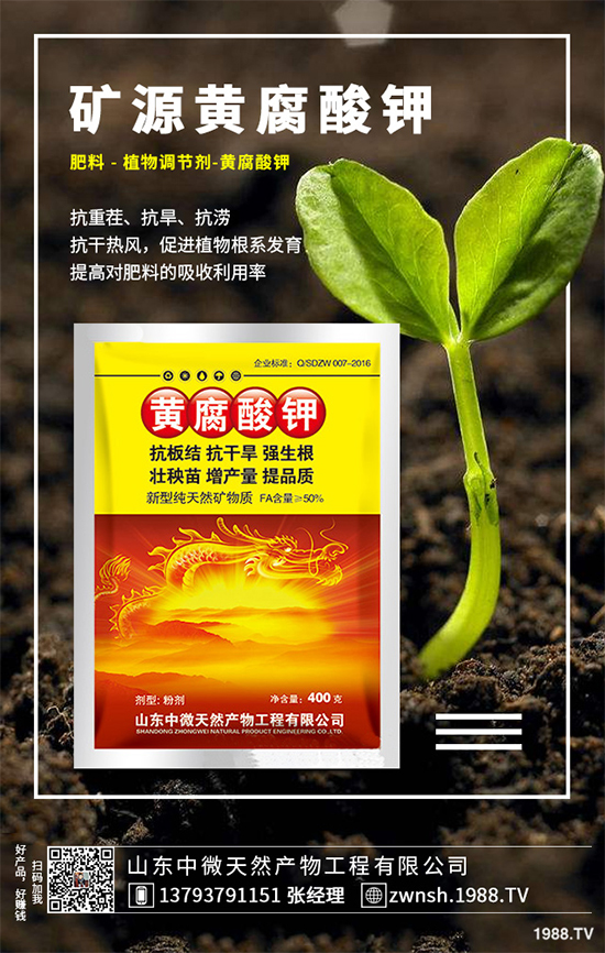 吳茱萸該如何繁殖？吳茱萸的繁殖技術(shù)栽培管理