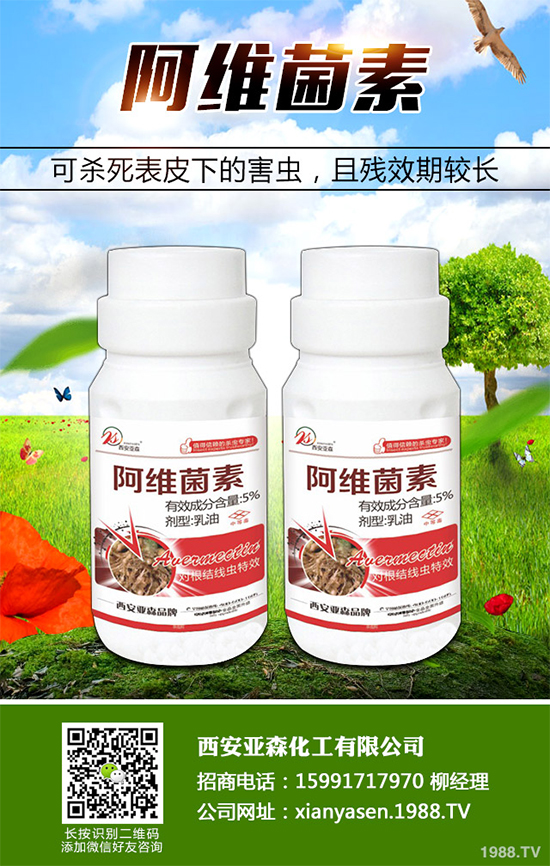 ԭˎ�r(ji��)������