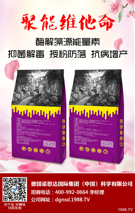 �ܱ��Ϲ���ô�Nֲ���ܱ��Ϲϵ����༼�g(sh��)Ҫ�c(di��n)�c������