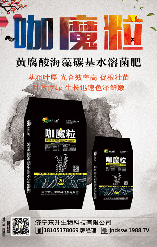 С����ʲô�g�Nֲ�r��С���۷Nֲ����Ҫ�c��