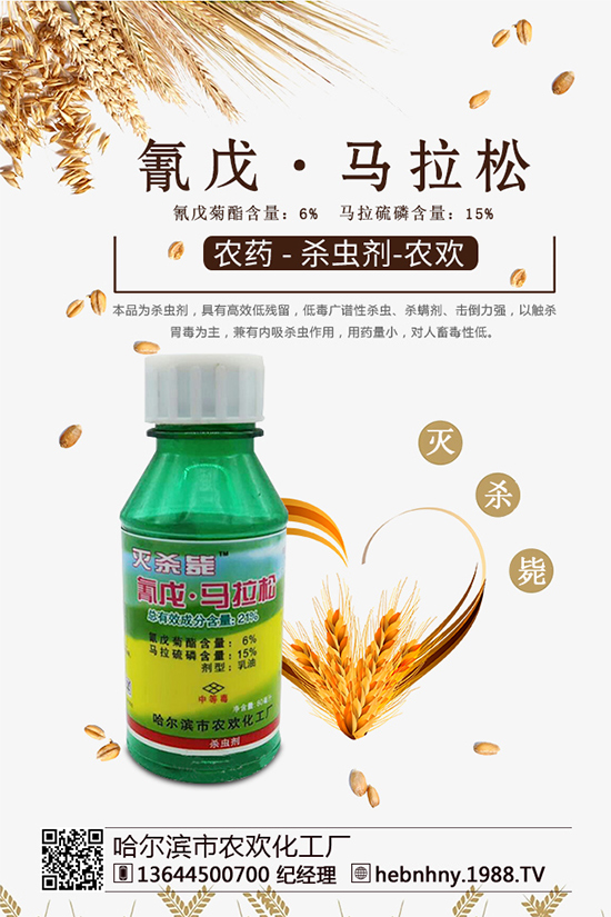 �x���߷��ڡ������xຸ�Ч���x�����Դ������