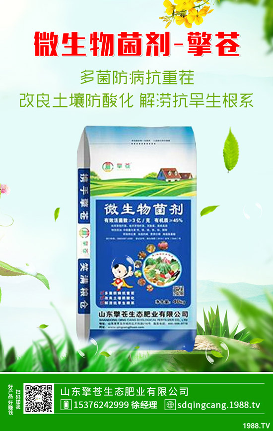     2020��4��3�Տ�(f��)�Ϸ��Ј����鱣�ַ�(w��n)���B(t��i)�ݣ����º����A(y��)�y��