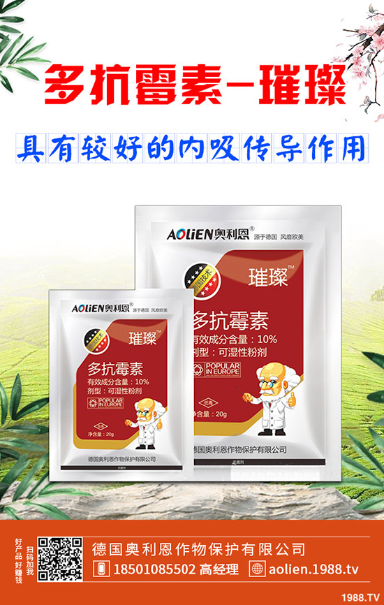 �����r(n��ng)ˎ��ӛ����(zh��n)�ĕr(sh��)����