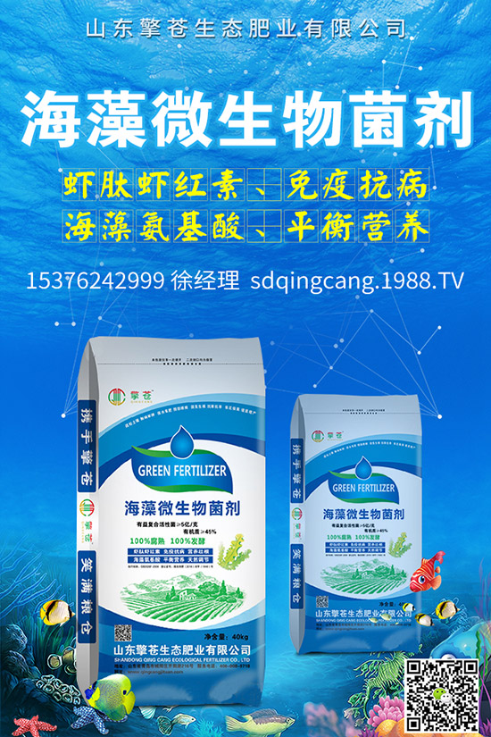     2020-4-8����(n��i)���@����һ������������������@�r���r��