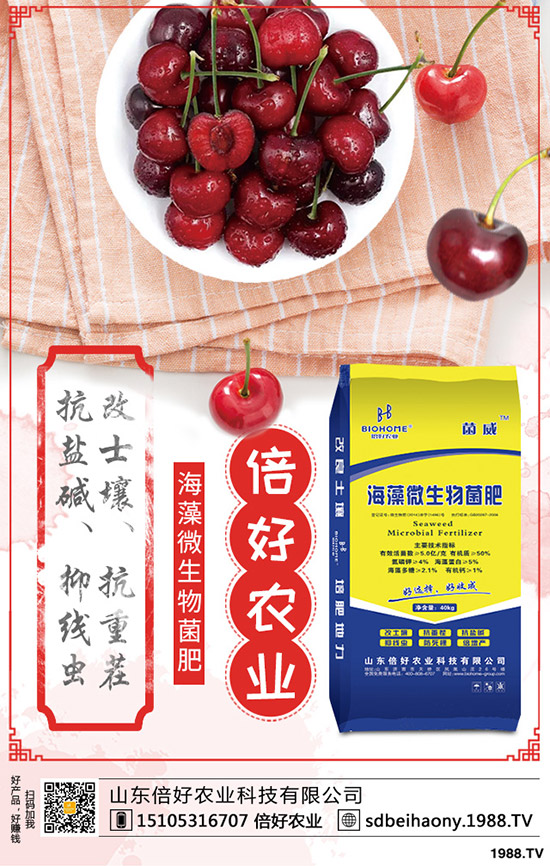 2020年4月8日今日最新復(fù)合肥企業(yè)主流出廠報(bào)價(jià)一覽!
