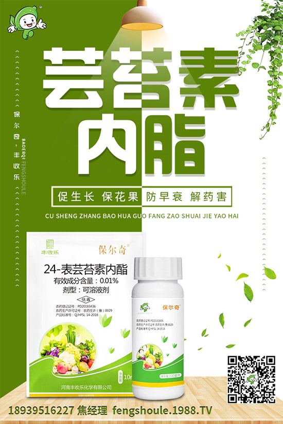 �������ô�޽�����ϼ޽Ӹ߮a(ch��n)�Nֲ���g(sh��)��