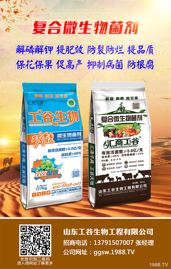 小麥條銹病正在肆虐,農戶到底該咋辦?關鍵還是靠預防!