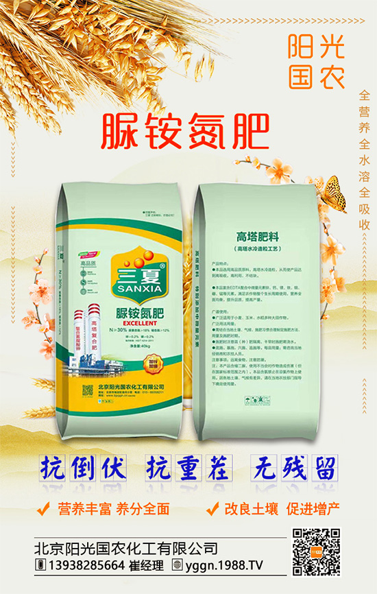 白掌怎么養(yǎng)殖好？水培白掌需要多久才能換水？