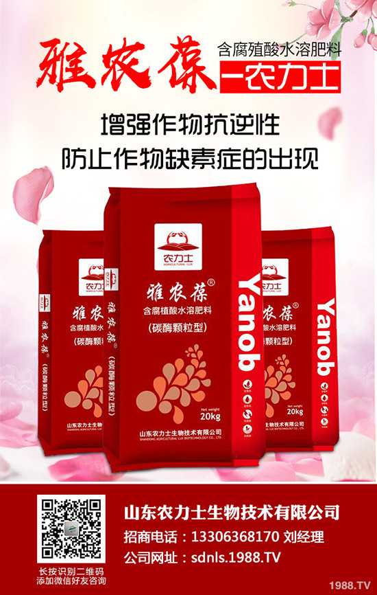     ���؃r��������ݣ��Εr�ǂ��^��2020-5-14�����������r�Ƕ�����