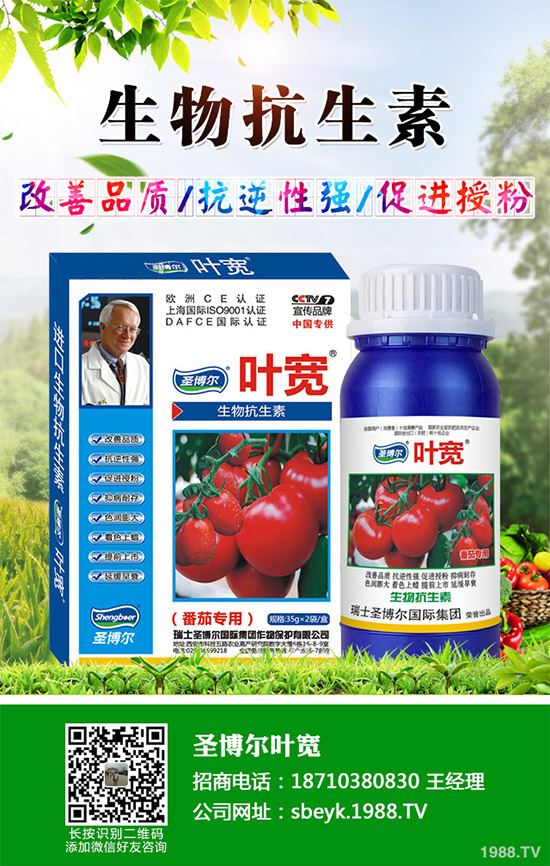 ���ﱡƤ���ԓ�����������Ƥ��ϸ߮a(ch��n)���༼�g(sh��)