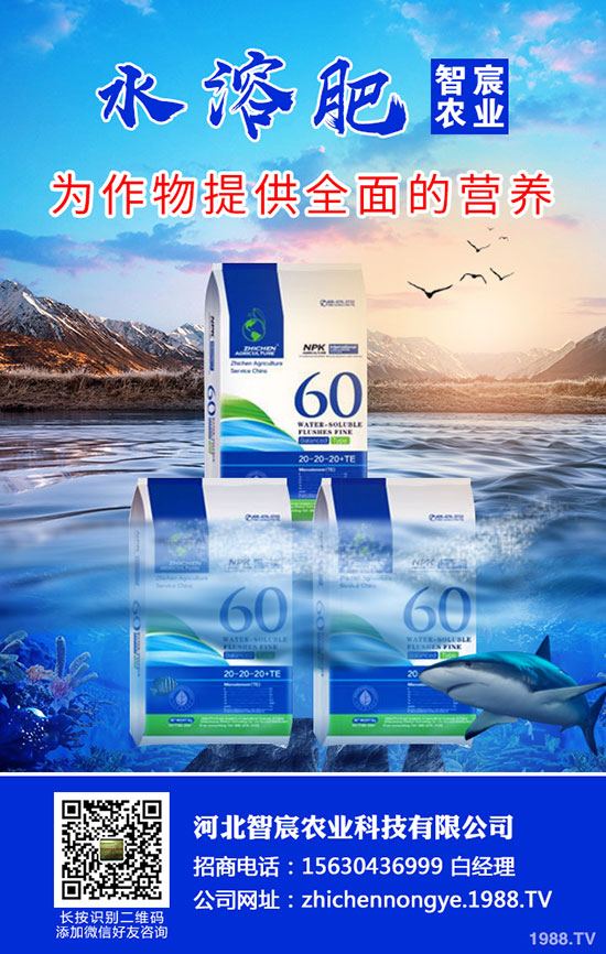 2020���؃r(ji��)��Ҫ�ϝq���������������߄ݷ�����