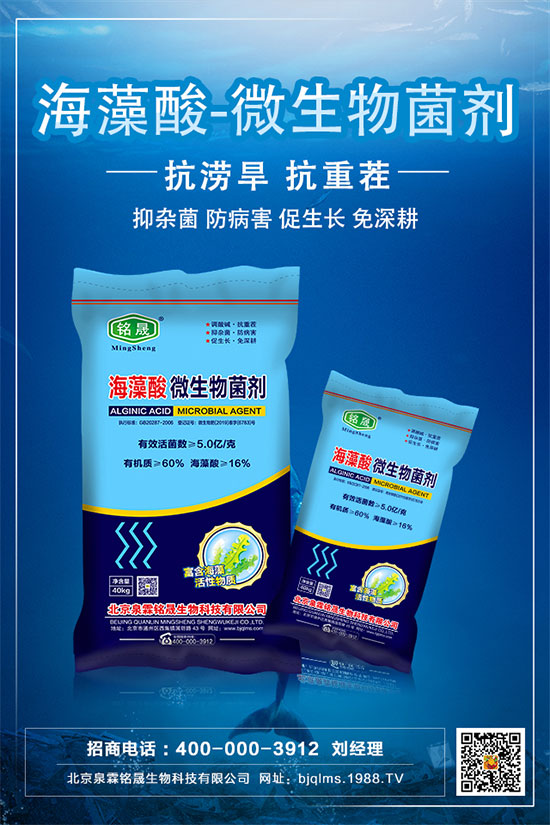     ����ֻ�_�����Y(ji��)����ʲôԭ�򣿰���������Ľ�Q��ʩ��