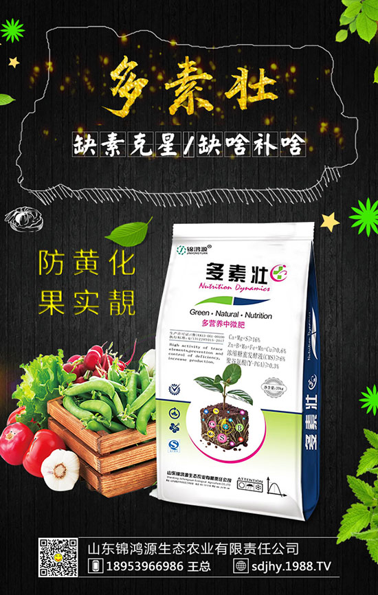 ���������緽������Щ������������Ҫ�c�����ڹ�����