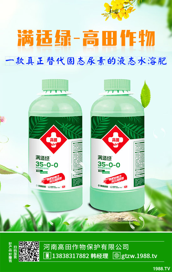 草珊瑚有哪些神奇功效?中藥材草珊瑚的作用及功效!