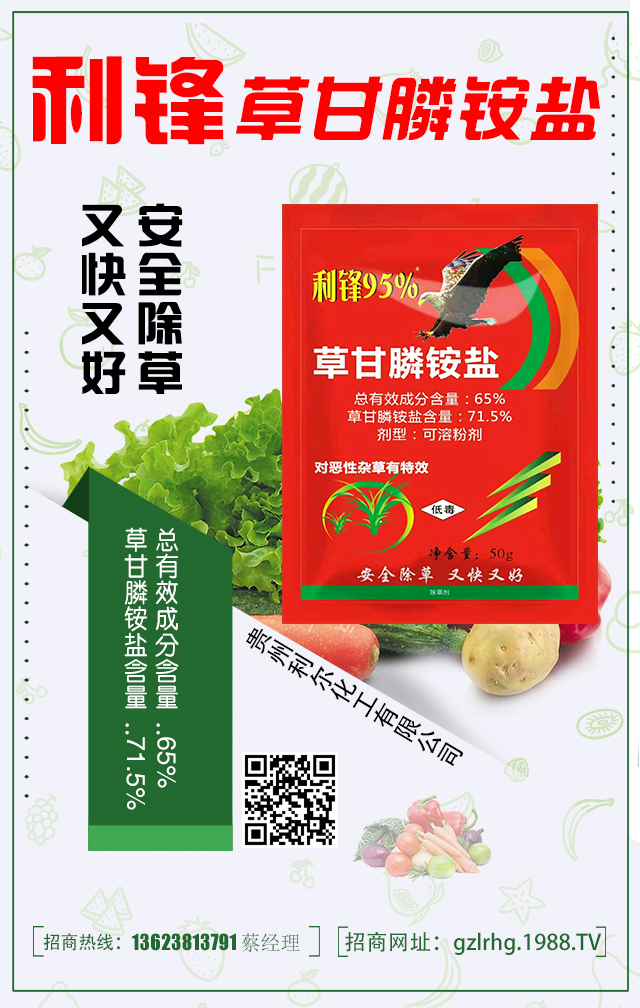 �F�������������޹�˾