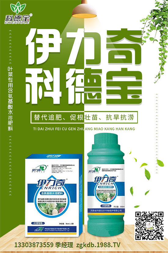 ���؅^(q��)�����������S��r