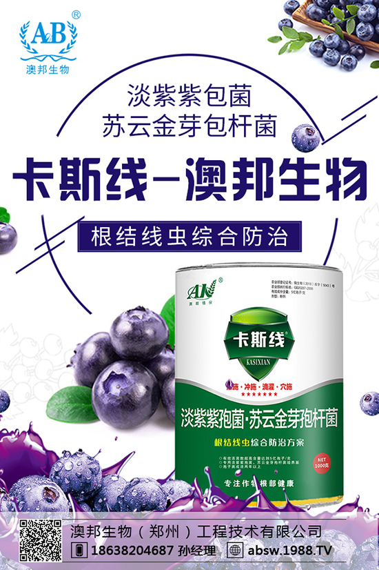 ���ײ��N������������������x�N�����ײ��Nע�����(xi��ng)��